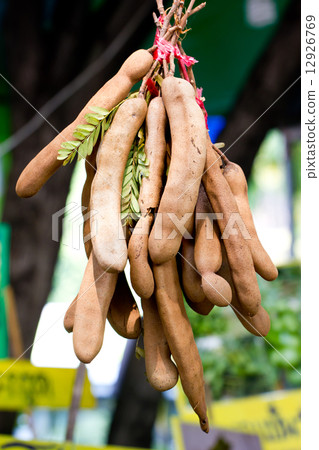 Bunch of tamarind. 12926769