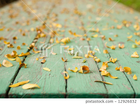 Leaves on green table Leaves on green table 12926832