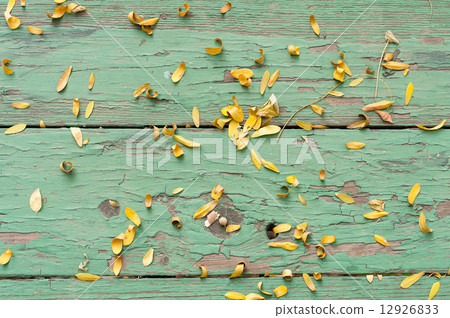 Leaves on green table 12926833