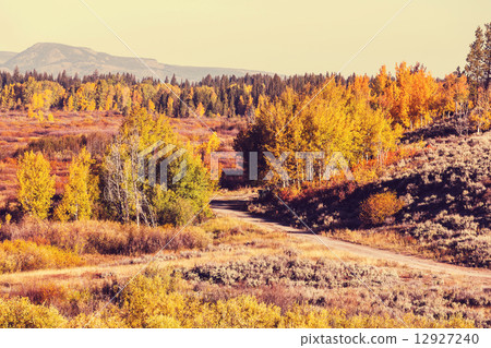 Autumn in Grand Teton 12927240