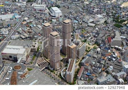 Mr. Moriguchi Dainty Aerial 12927948