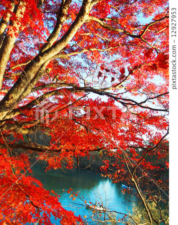 紅色和紅色 紅色和紅色 12927953