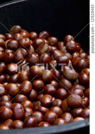 Chestnuts  12928483