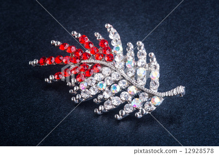 brooch. brooch on the background 12928578