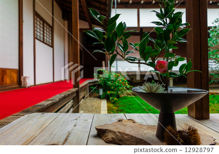 Ikebana Ikebana 12928797