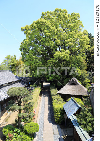 愛媛縣新居浜市,“廣瀨公園”內的前房子,使用建立住友集團的基礎的Shiorpe Hirose的老學校和花園作為公園,從主樓的2樓看“廣瀨紀念館”的入口接近 愛媛縣新居浜市,“廣瀨公園”內的前房子,使用建立住友集團的基礎的Shiorpe Hirose的老學校和花園作為公園,從主樓的2樓看“廣瀨紀念館”的入口接近 12929178