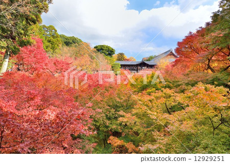京都在秋天 京都在秋天 12929251