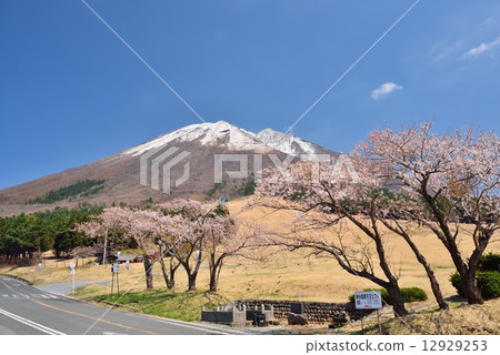 春山 春山 12929253
