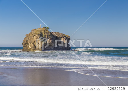 White rabbit coast 12929329