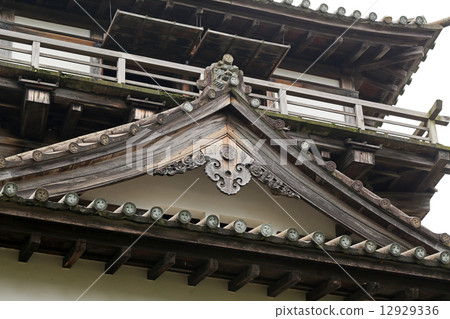 Fish fish in Maruoka Castle 12929336