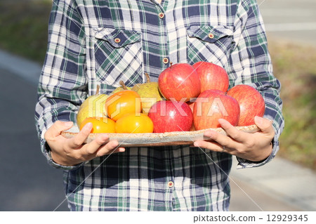 水果拼盤 12929345