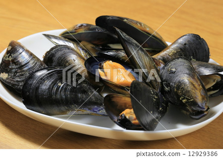 mussels	 12929386