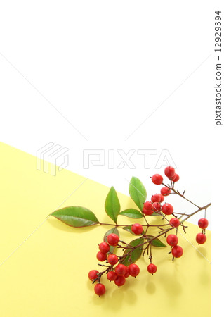 New Year image Winter image 12929394