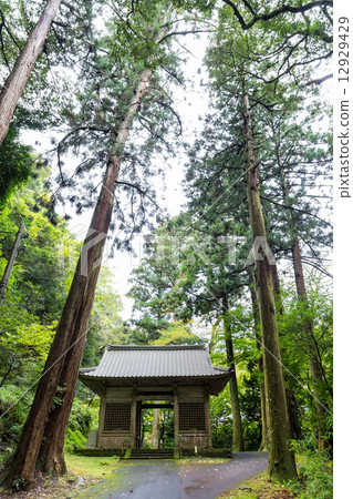 Curiosa Temple · Nijimon 12929429