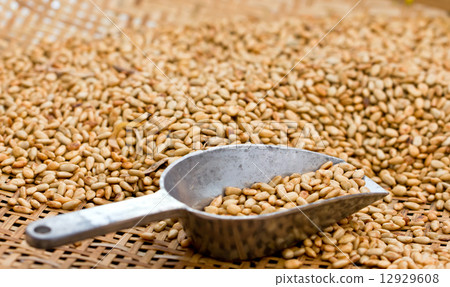 Fried sunflower seed with metal scoop in bamboo basket. Fried sunflower seed with metal scoop in bamboo basket. 12929608
