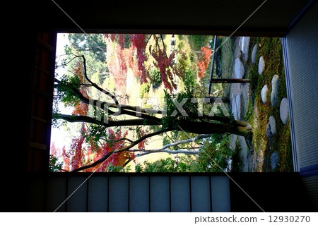 Isuien花園 12930270