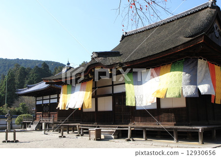 園城寺 園城寺 12930656