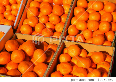 Mandarin orange  12930769