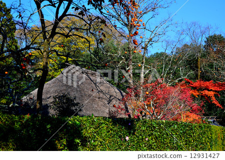 Kyoto Okinawa 12931427
