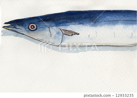 Sanma, raw · head 12933235