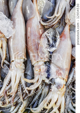 Fresh squid in the market 12934530