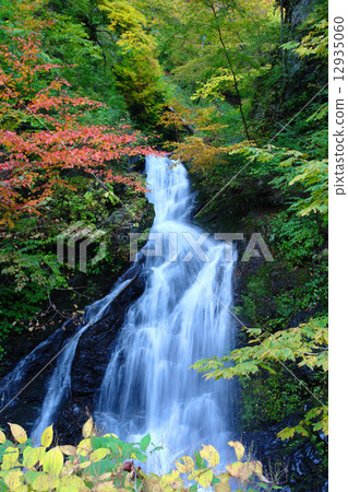 Oyako Falls（Azusakawa） 12935060