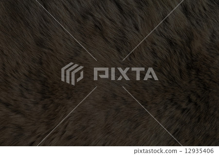 Fur Animal Textures, Black Bear Fur Animal Textures, Black Bear 12935406