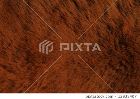 Fur Animal Textures, Brown Bear Fur Animal Textures, Brown Bear 12935407