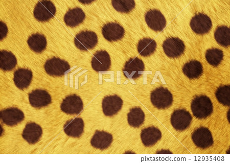Fur Animal Textures, Cheetah 12935408
