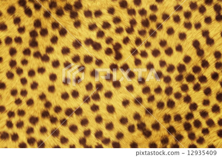 Fur Animal Textures, Cheetah Fur Animal Textures, Cheetah 12935409