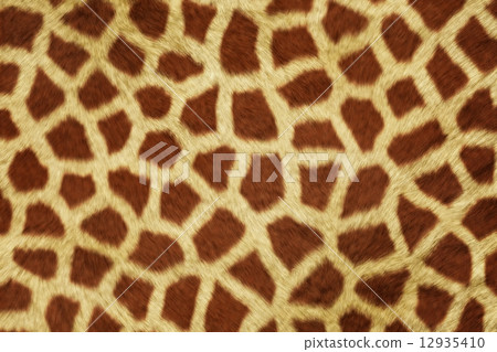 Fur Animal Textures, Girafe Fur Animal Textures, Girafe 12935410