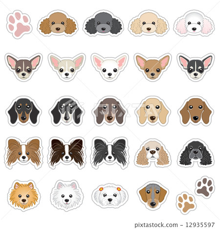 狗的臉圖 插圖素材 圖庫