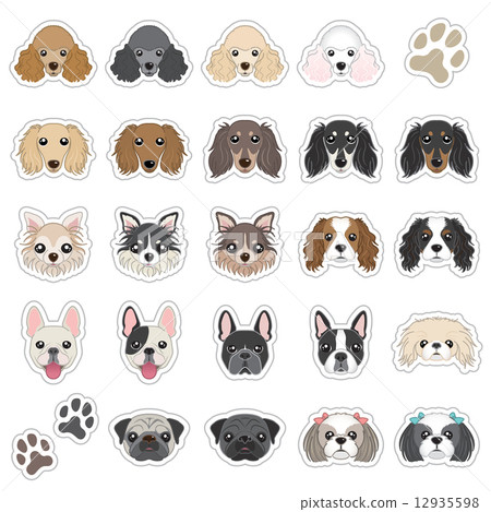 Dog's face illustration 12935598