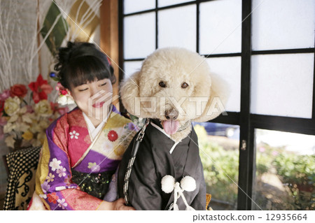 成人儀式 - 和服人物 12935664