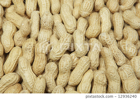 peanuts peanuts 12936240