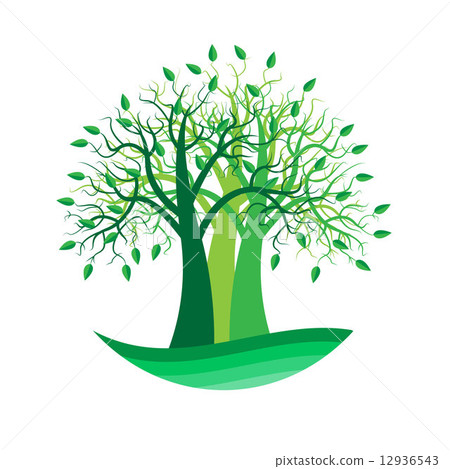 tree tree 12936543