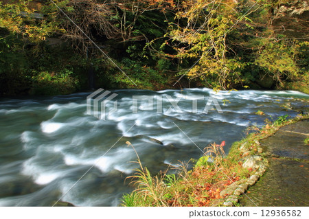 山中溫泉Tsurugi峽谷 12936582