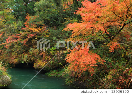 山中溫泉Tsurugi峽谷 12936590