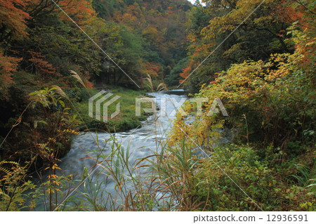山中溫泉Tsurugi峽谷 山中溫泉Tsurugi峽谷 12936591