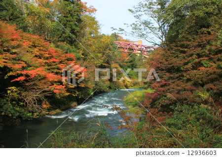 山中溫泉Tsurugi峽谷 12936603