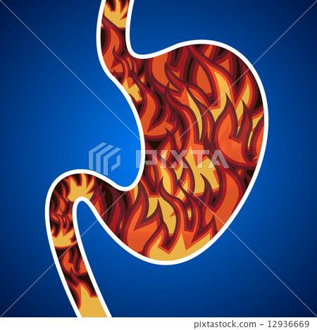 Acid in the stomach. 12936669