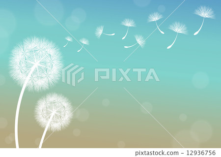 Dandelion 12936756