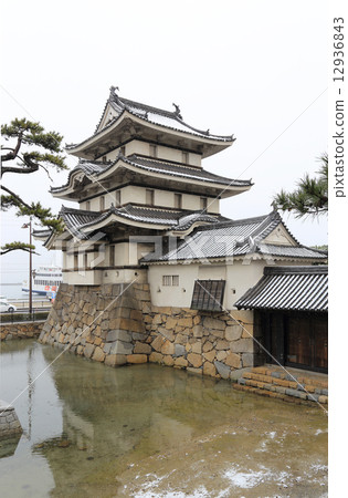 Takamatsu City Tamagami Park's winter "Takamatsu Castle Ruins" moonlight oar 12936843