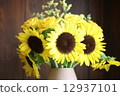 向日葵 12937101