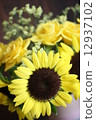 向日葵 12937102