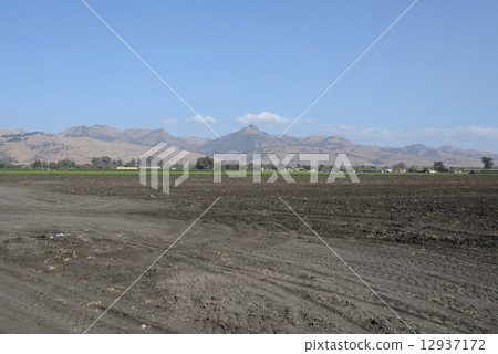 American Pablican farmer American Pablican farmer 12937172