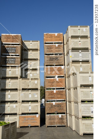 American Factory 12937238