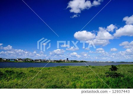 Toriyagata和新潟鎮 12937443