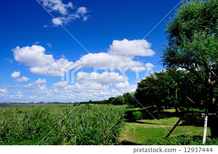 Toriyanogata公園 Toriyanogata公園 12937444