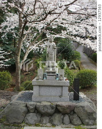 Honjozan Sonjoji (Ojjōjiji) Mitsuiji Temple Mt. Tansei Bodhisattva statue 12937563